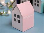 box17pink-84388-zoom.jpg